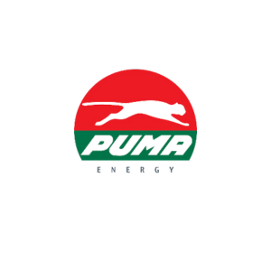 PUMA ENERGIE